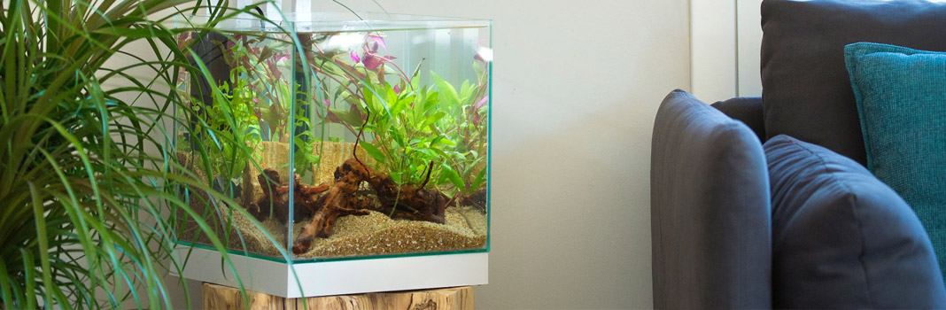 Osmoseur Débit direct 1 litre minute pour les grands aquariums, ROBIG